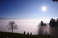 über dem nebel....