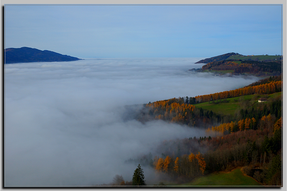 ....über dem Nebel...