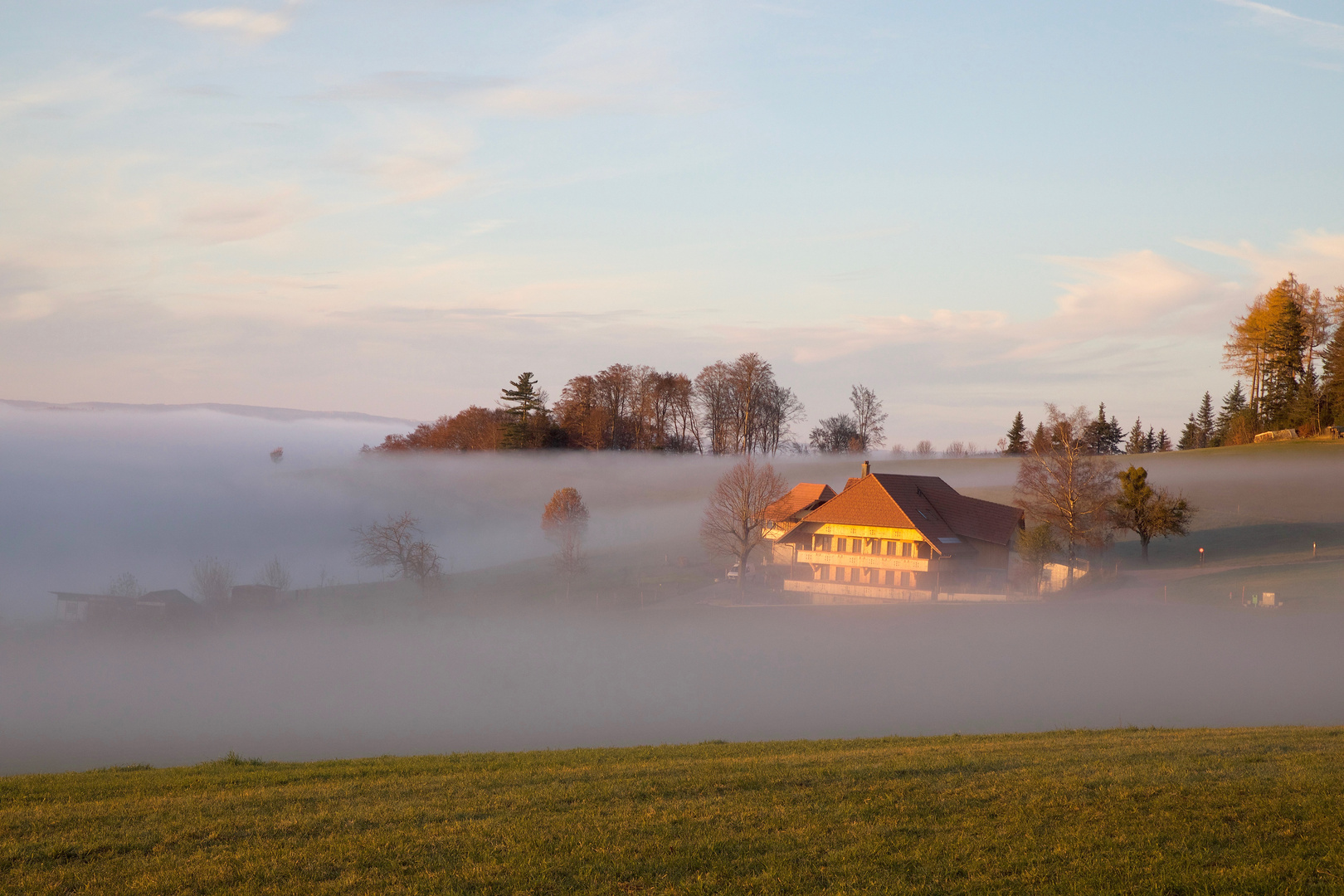 Ueber dem Nebel