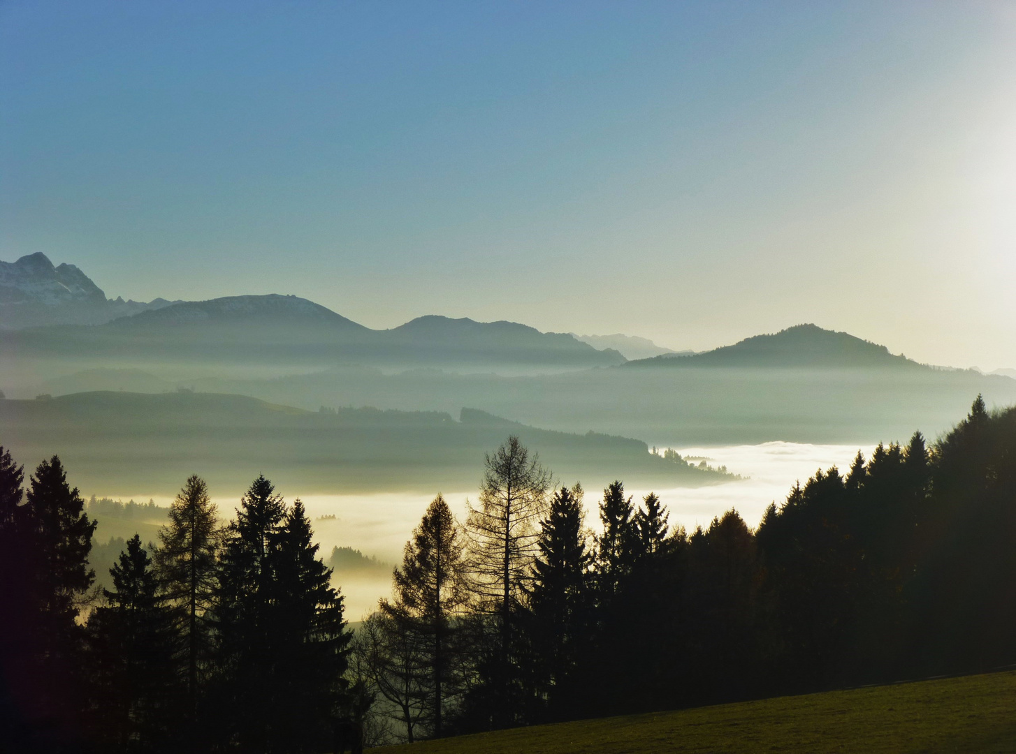 über dem Nebel