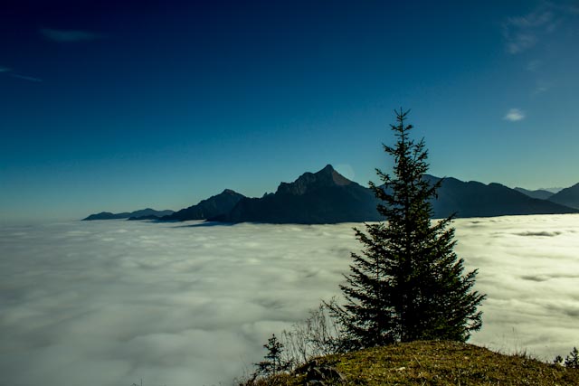 Über dem Nebel