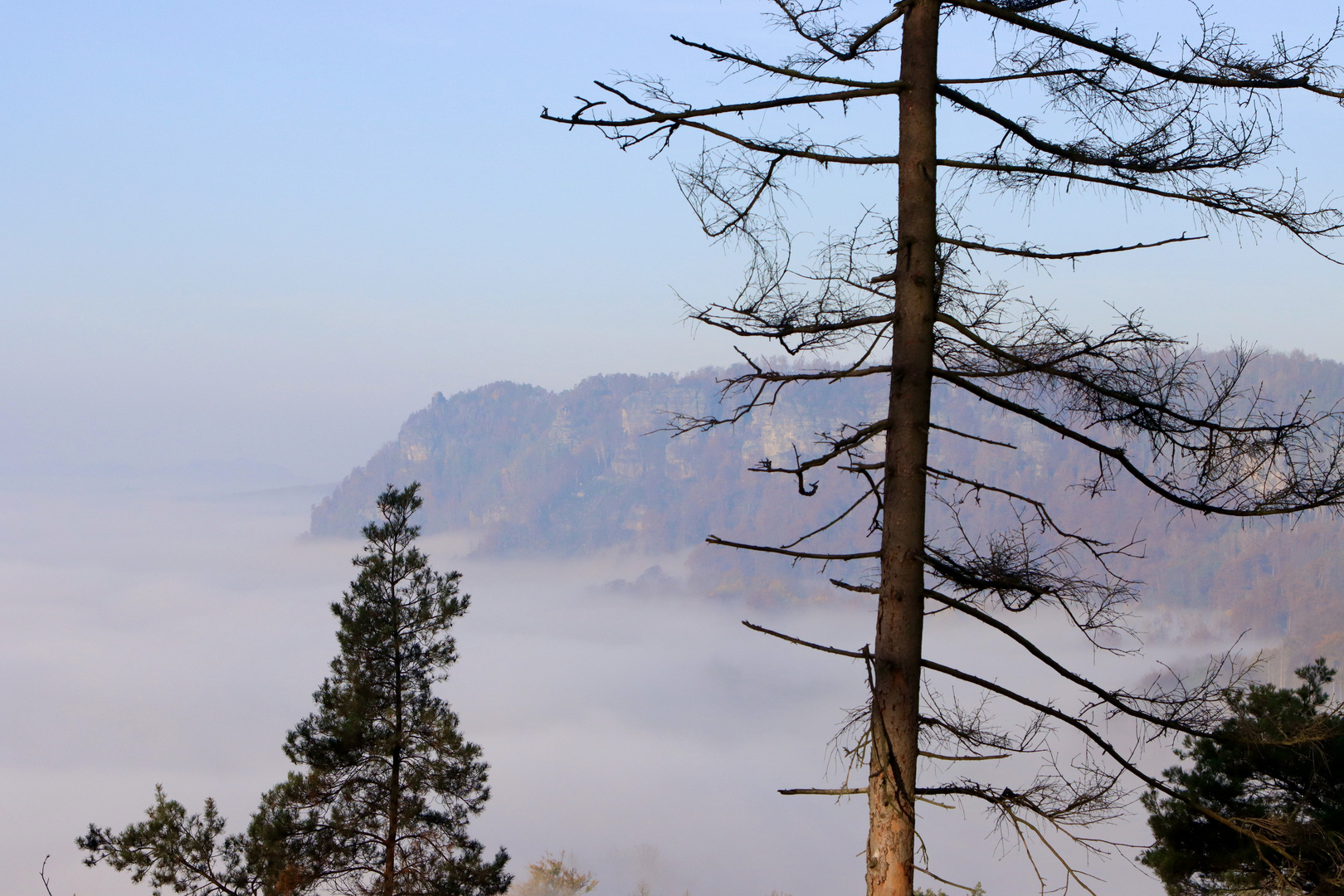 Über dem Nebel