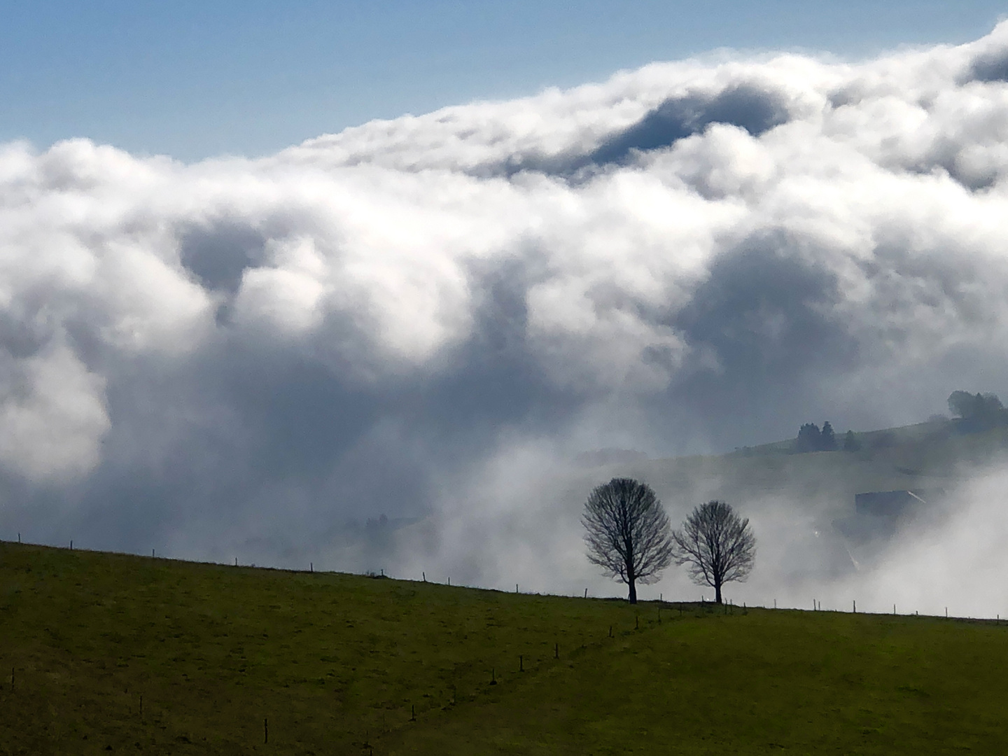 Über dem Nebel. 