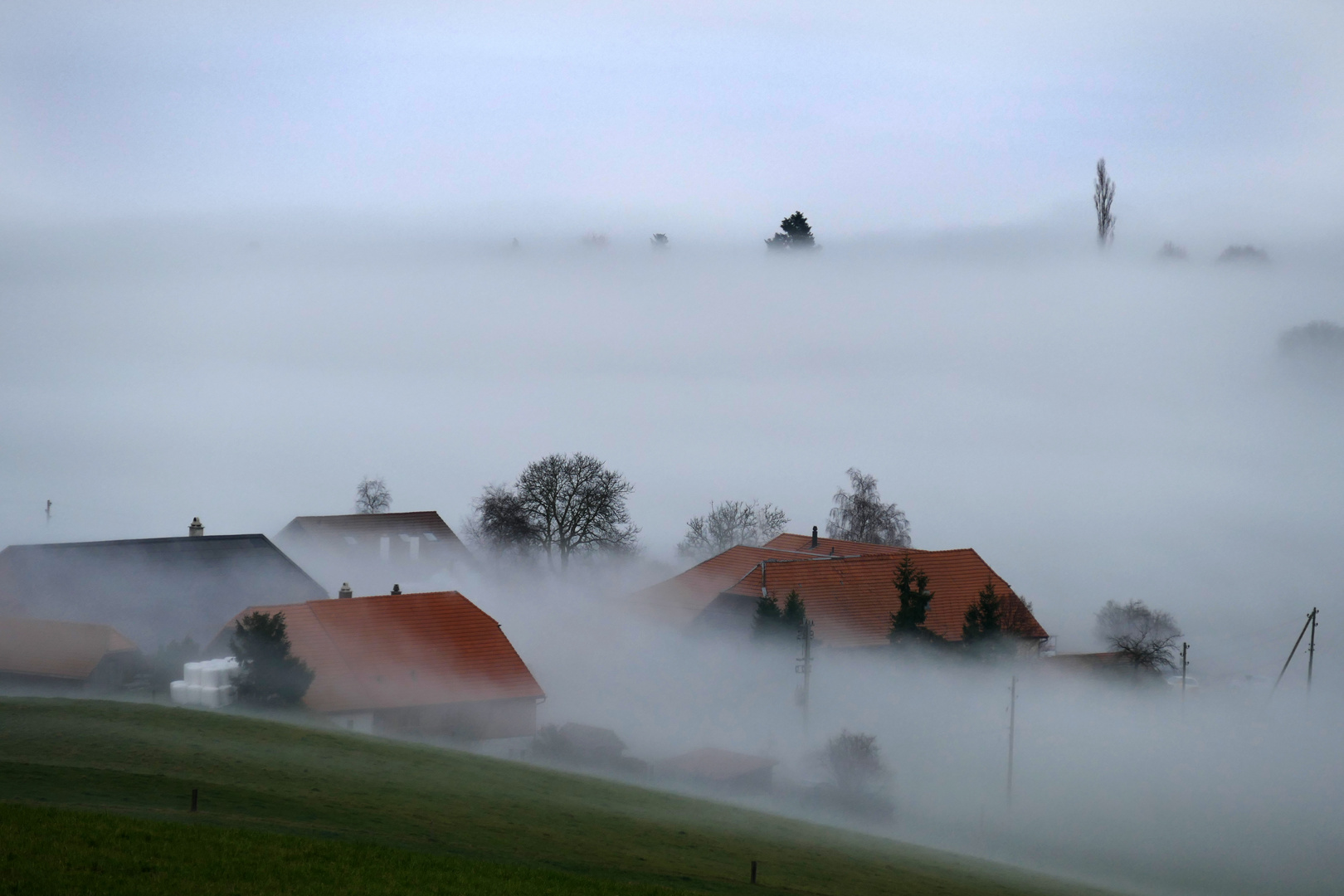 über dem Nebel