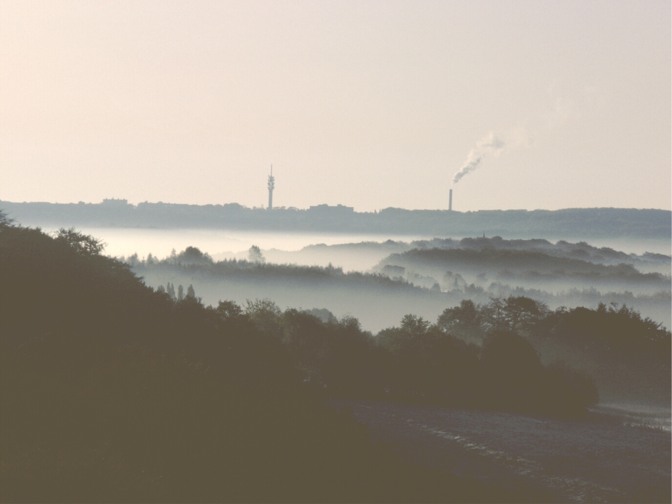 über dem Nebel