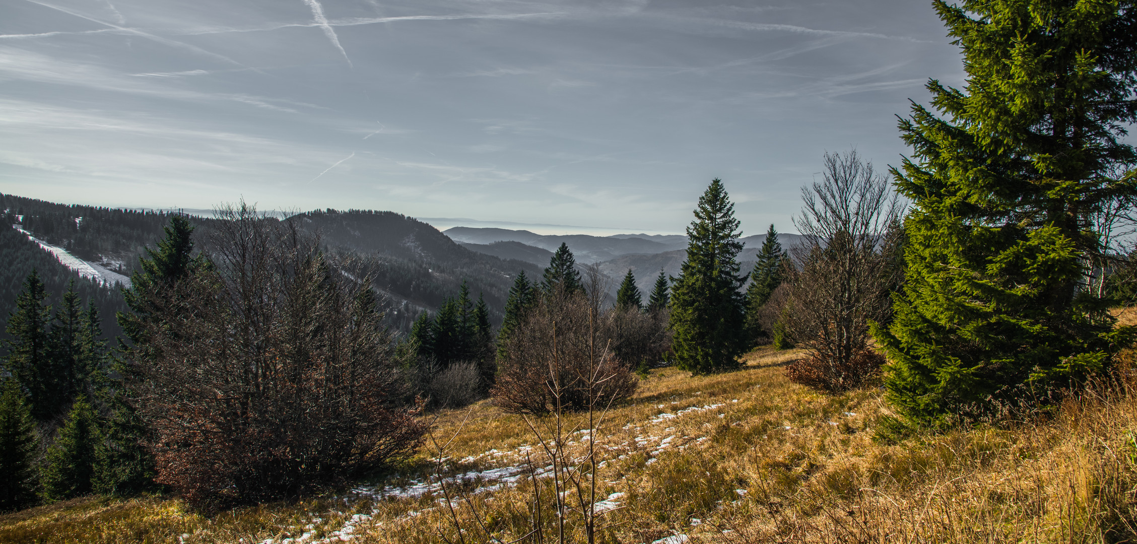 über dem Nebel