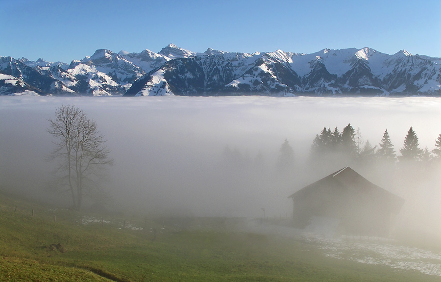 Über dem Nebel ....