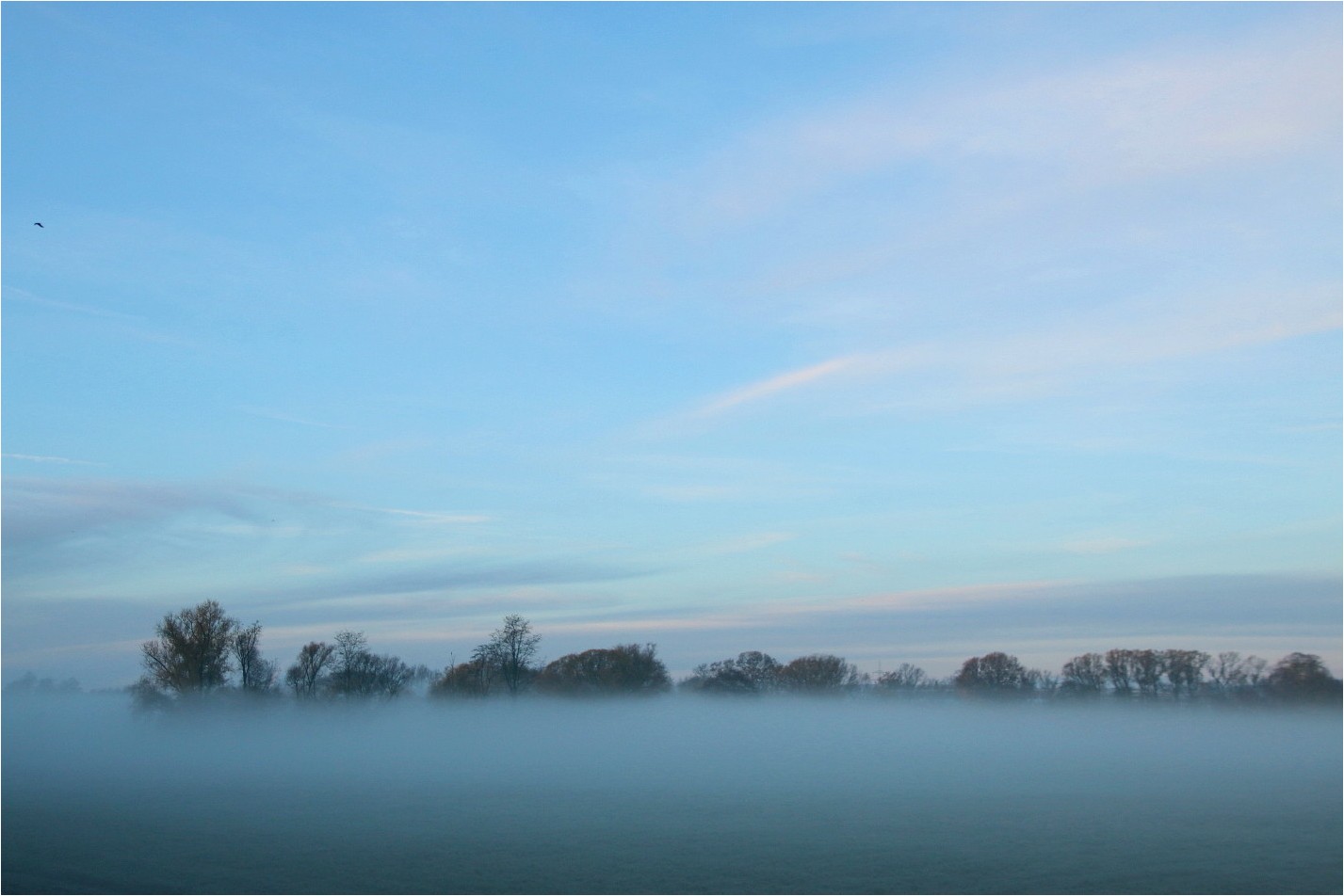 Über dem Nebel