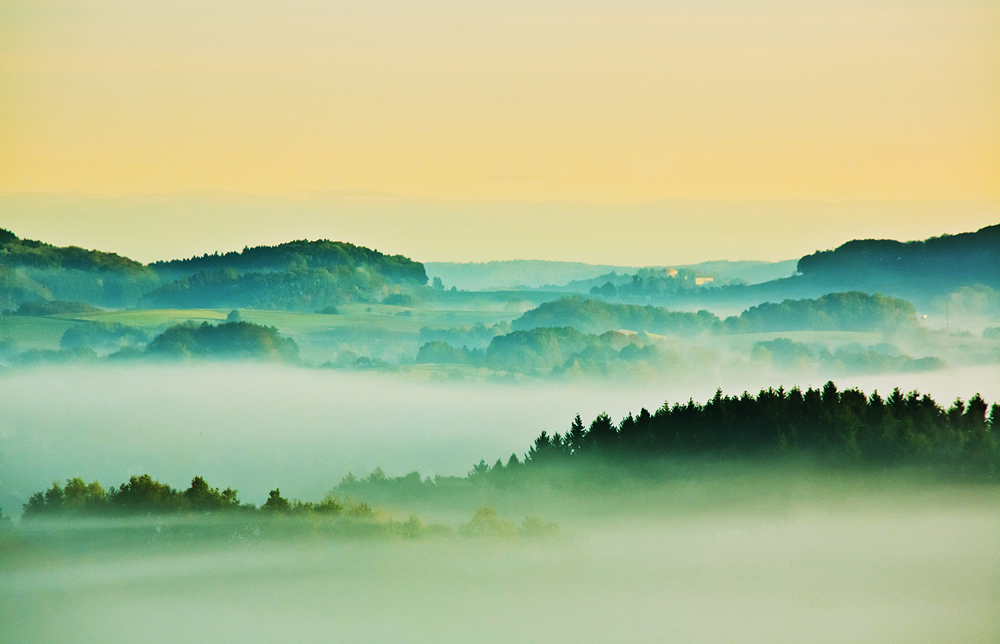 Über dem Nebel