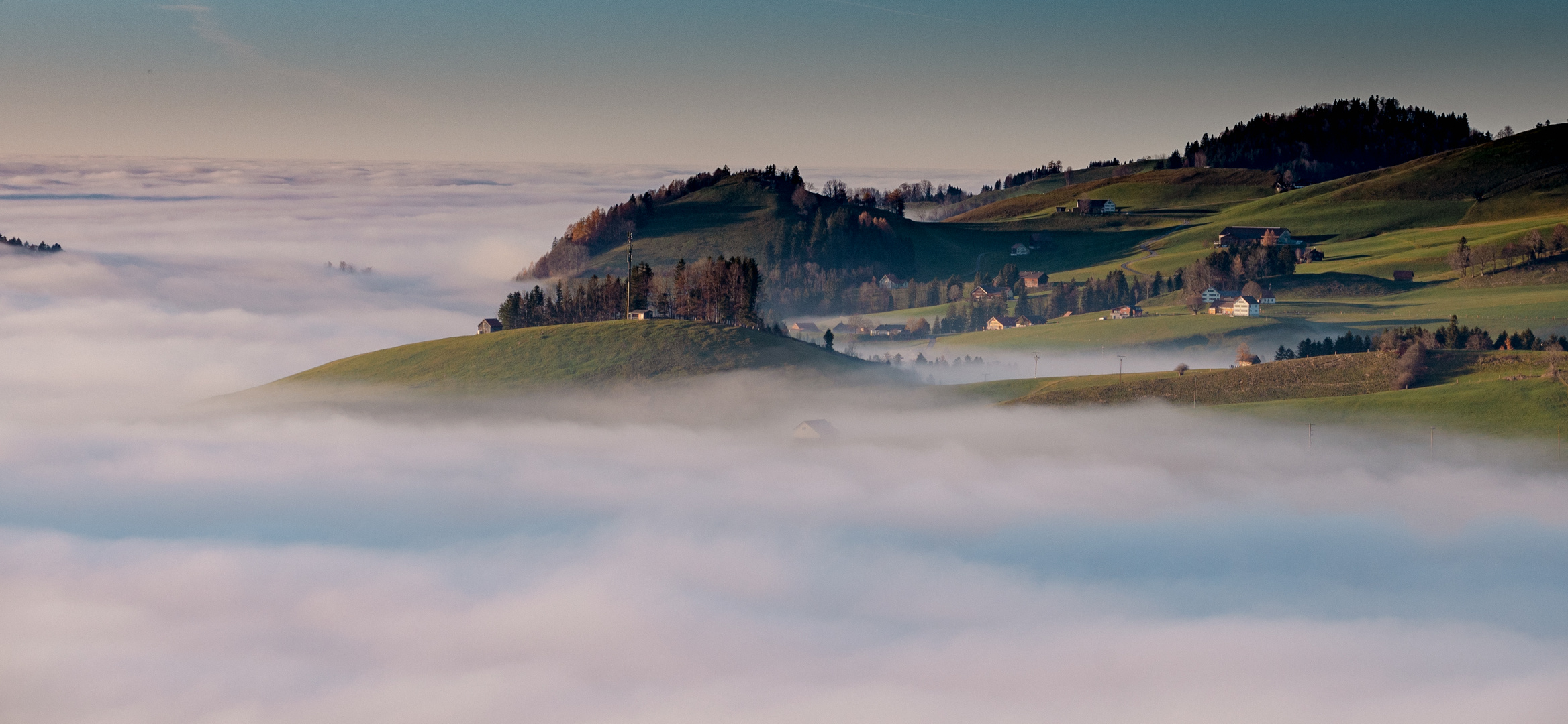 über dem Nebel