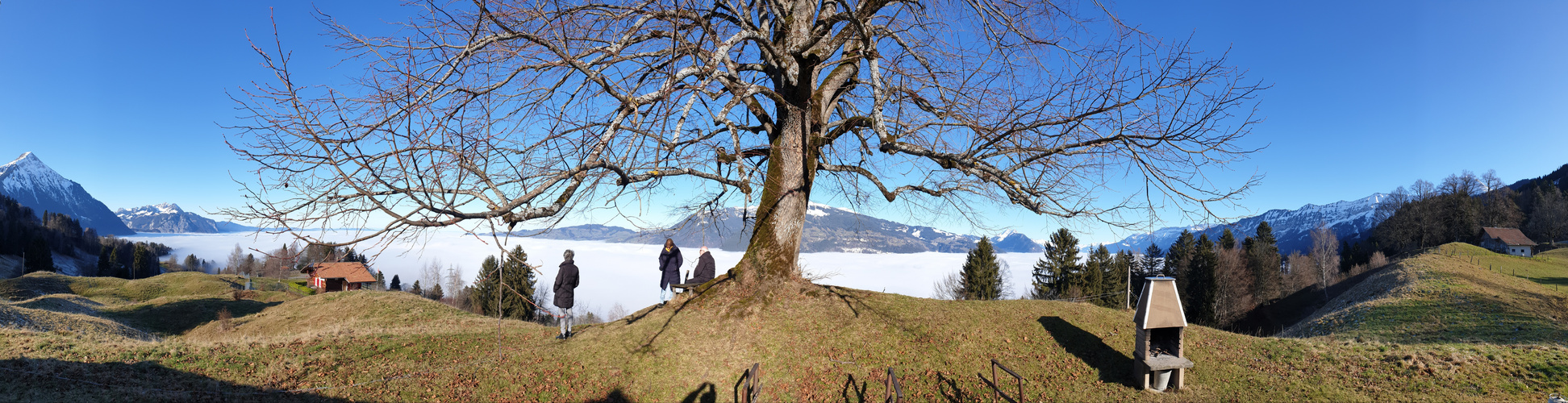 über dem Nebel