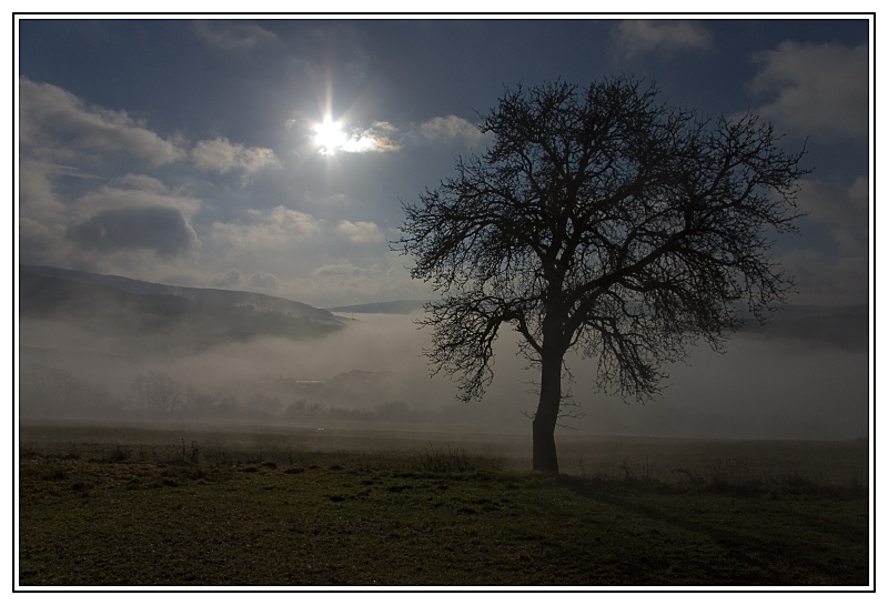 Über dem Nebel