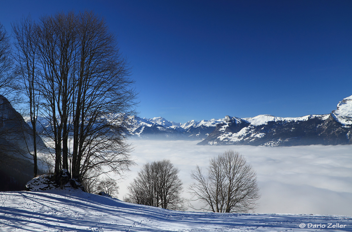 Über dem Nebel