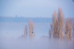 über dem Nebel - ab und zu reicht der Hausberg