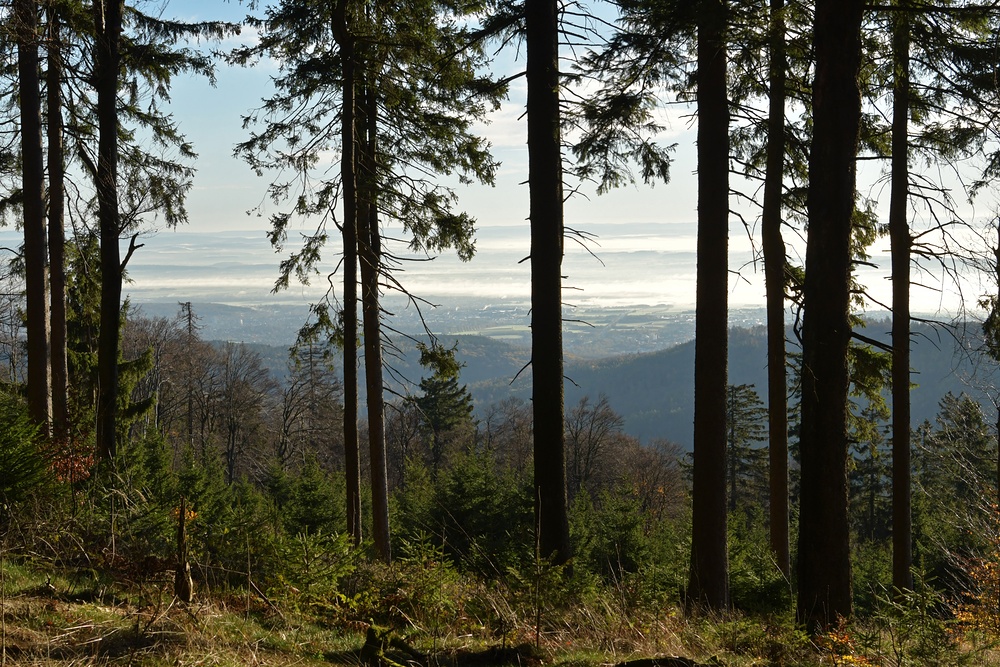 Über dem Nebel auf dem Großen Feldberg 05