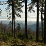 Über dem Nebel auf dem Großen Feldberg 05