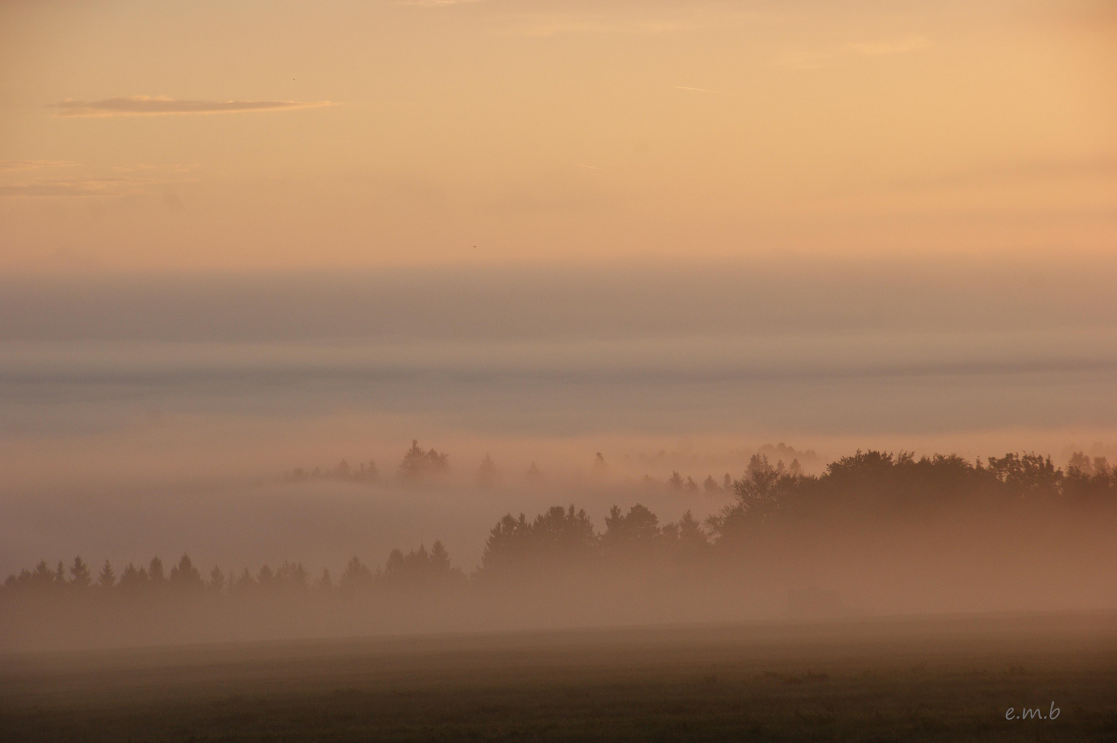 über dem Nebel