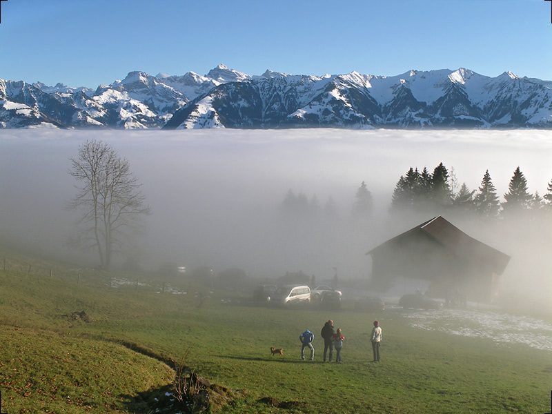 Über dem Nebel ...