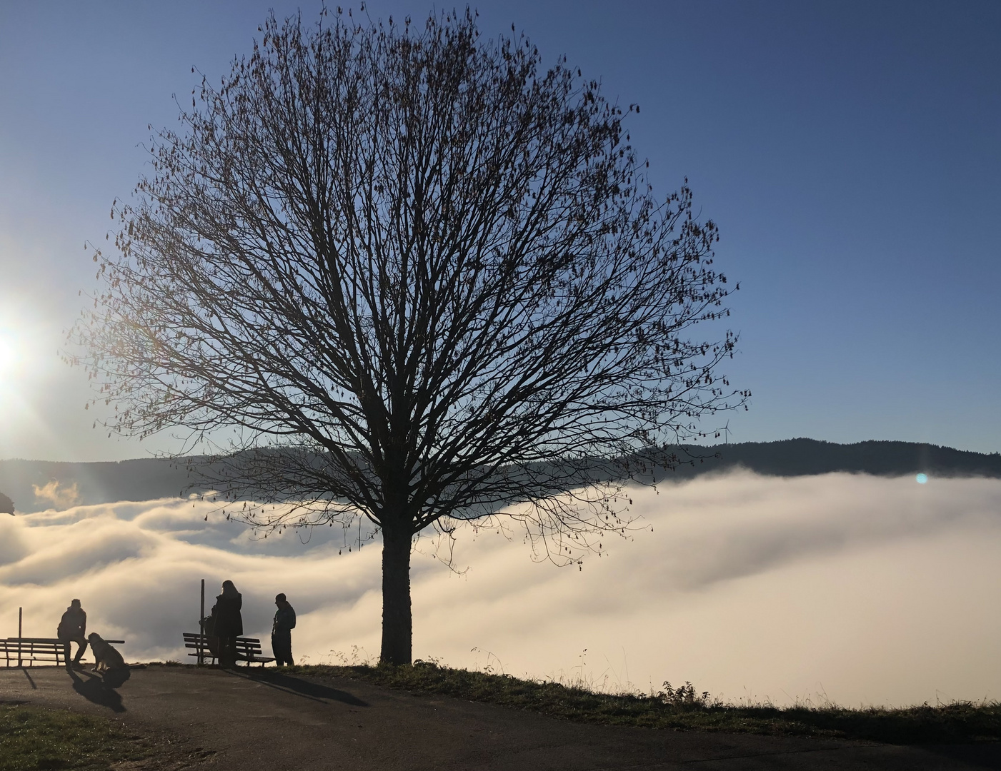 Über dem Nebel beim Holzer Kreuz. 