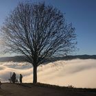 Über dem Nebel beim Holzer Kreuz. 