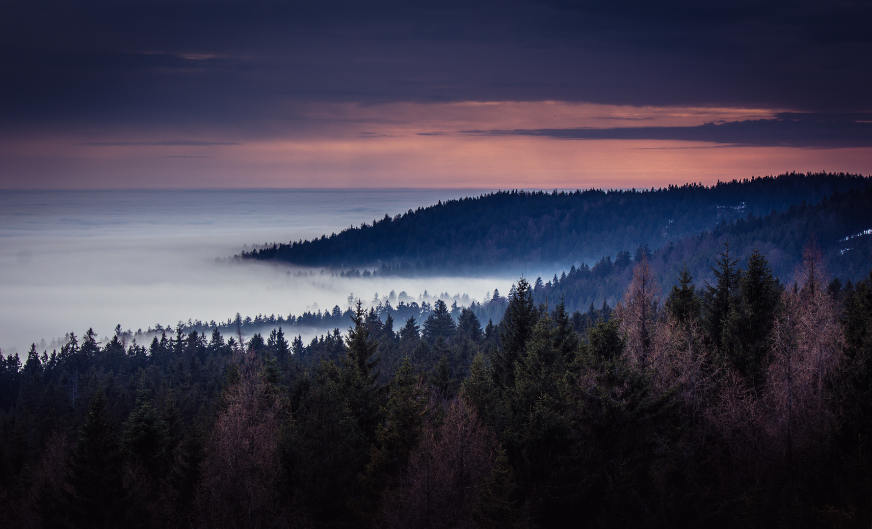 Über dem Nebel 