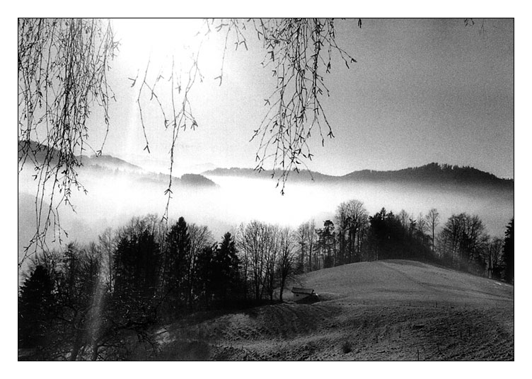 über dem Nebel....