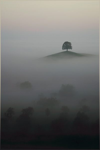 über dem Nebel...