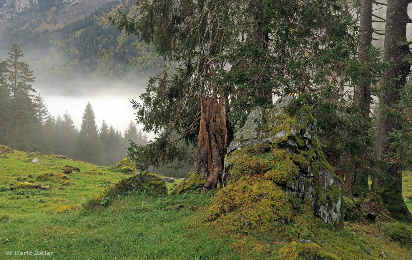 Über dem Nebel