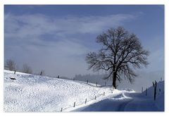 Ueber dem Nebel.....