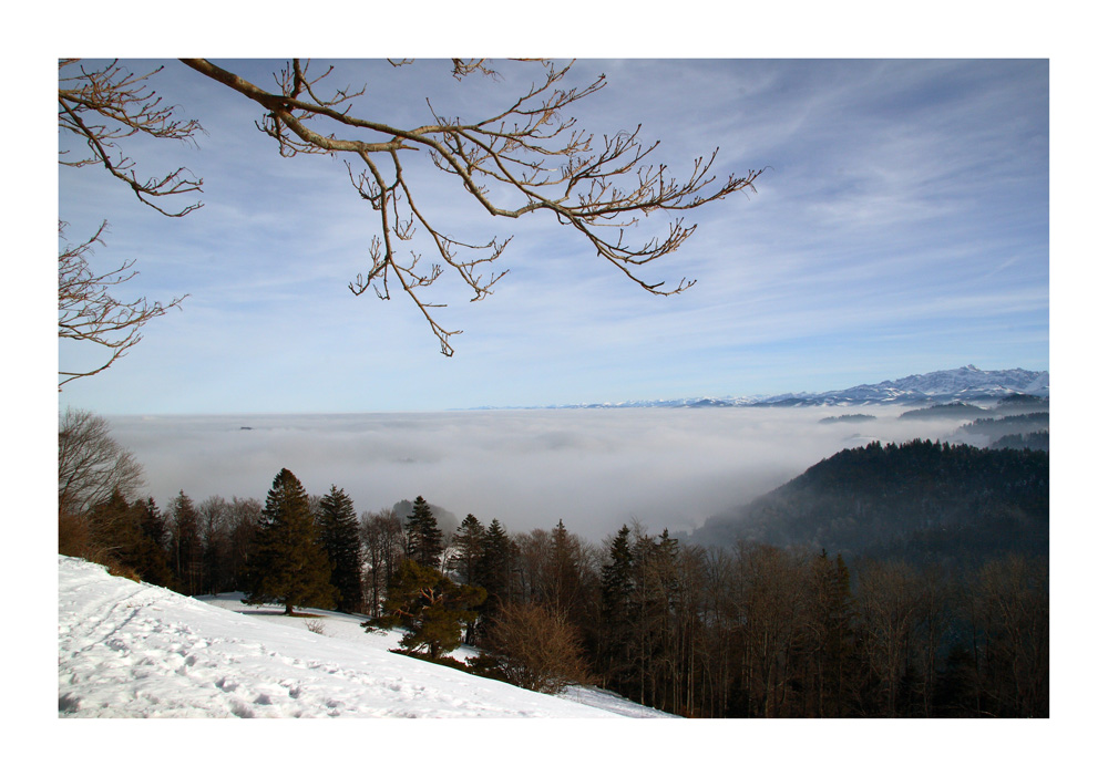 über dem Nebel