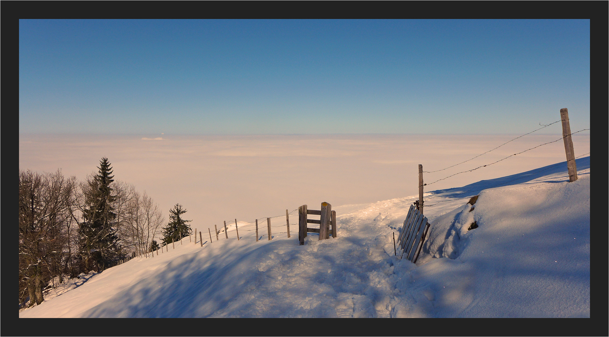 Ueber dem Nebel