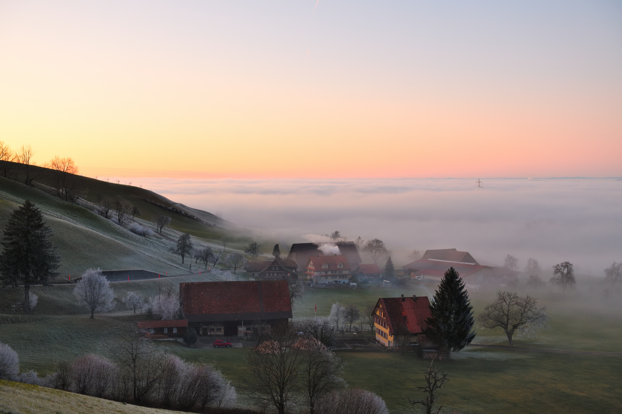 über dem Nebel