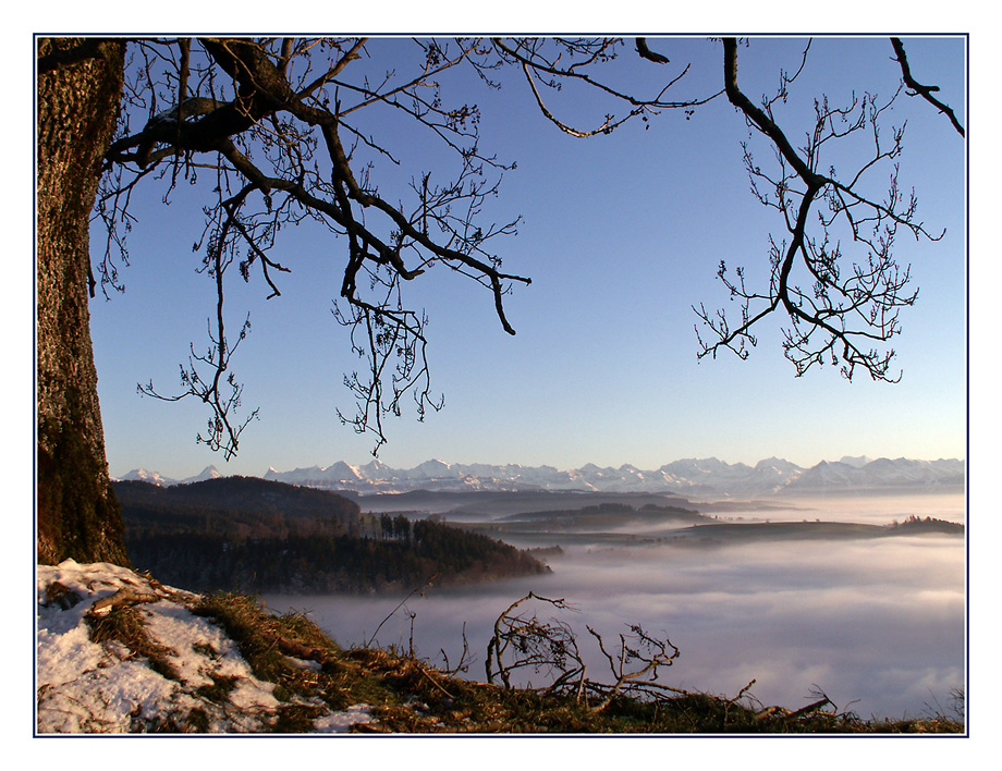 über dem Nebel