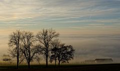 [ Über dem Nebel ]