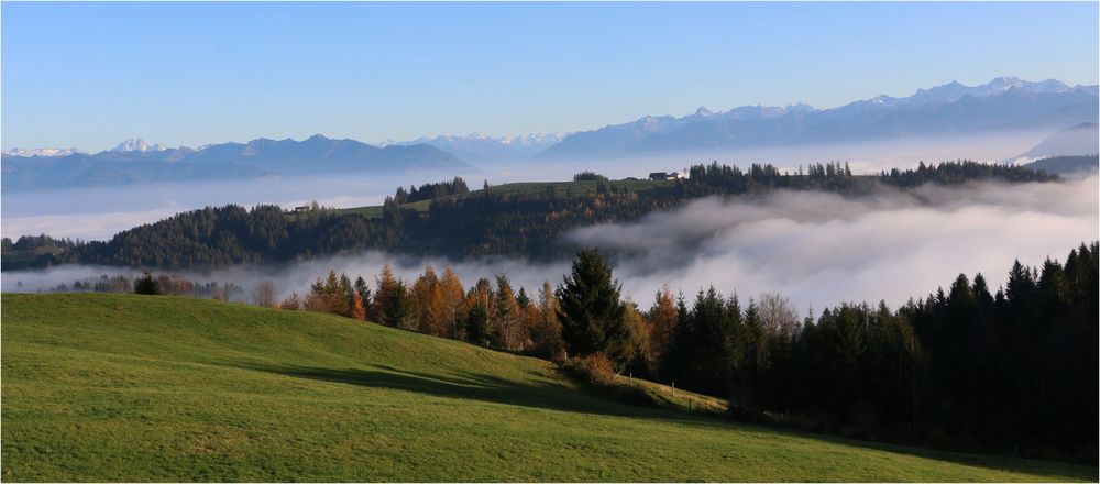 Über dem Nebel ...