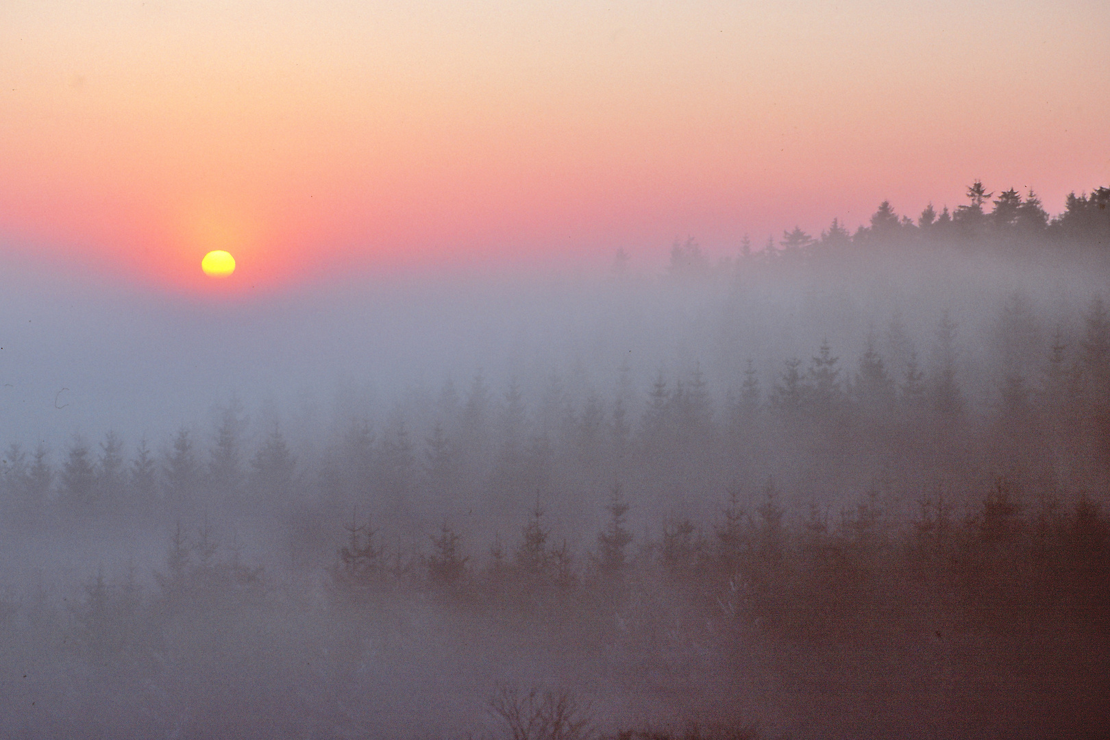 Über dem Nebel