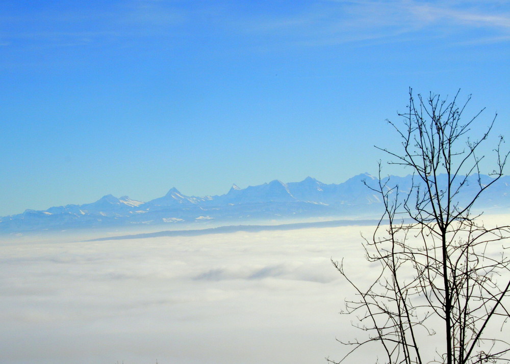 über dem Nebel