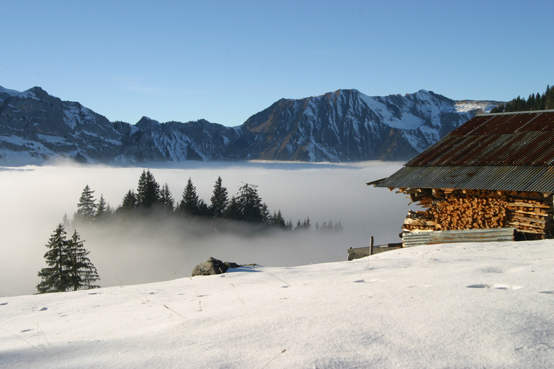 über dem Nebel (Engelberg - Schweiz)