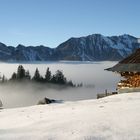 über dem Nebel (Engelberg - Schweiz)