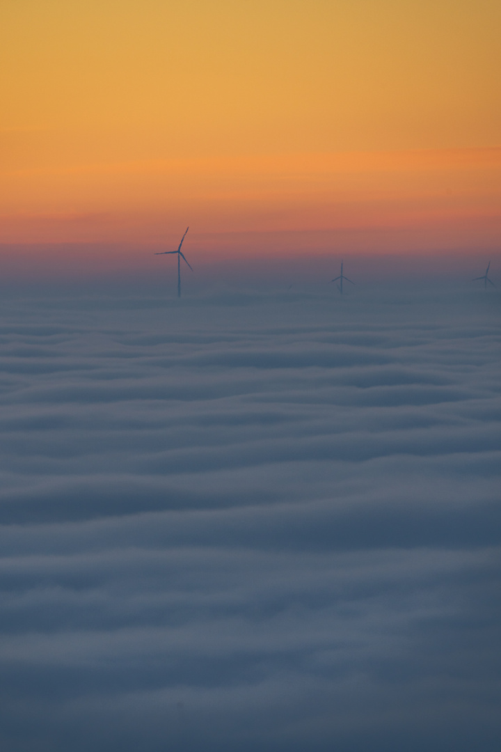 Über dem Nebel