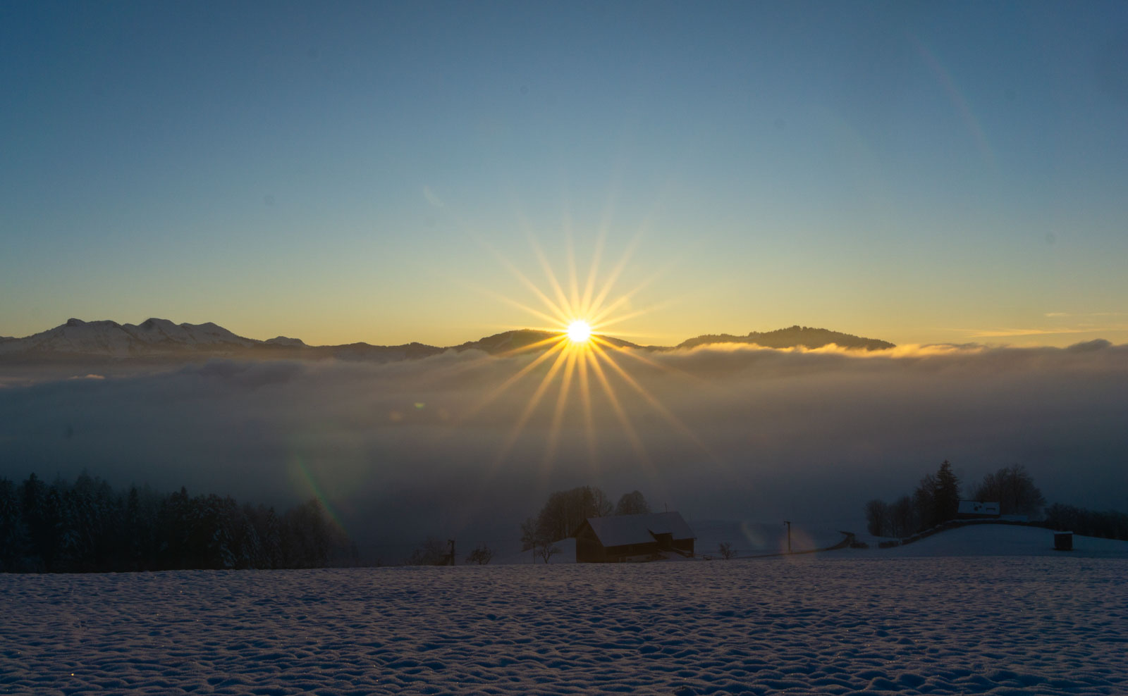 Über dem Nebel ist die F....