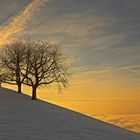 Über dem Nebel kurz vor Sonnenuntergang....