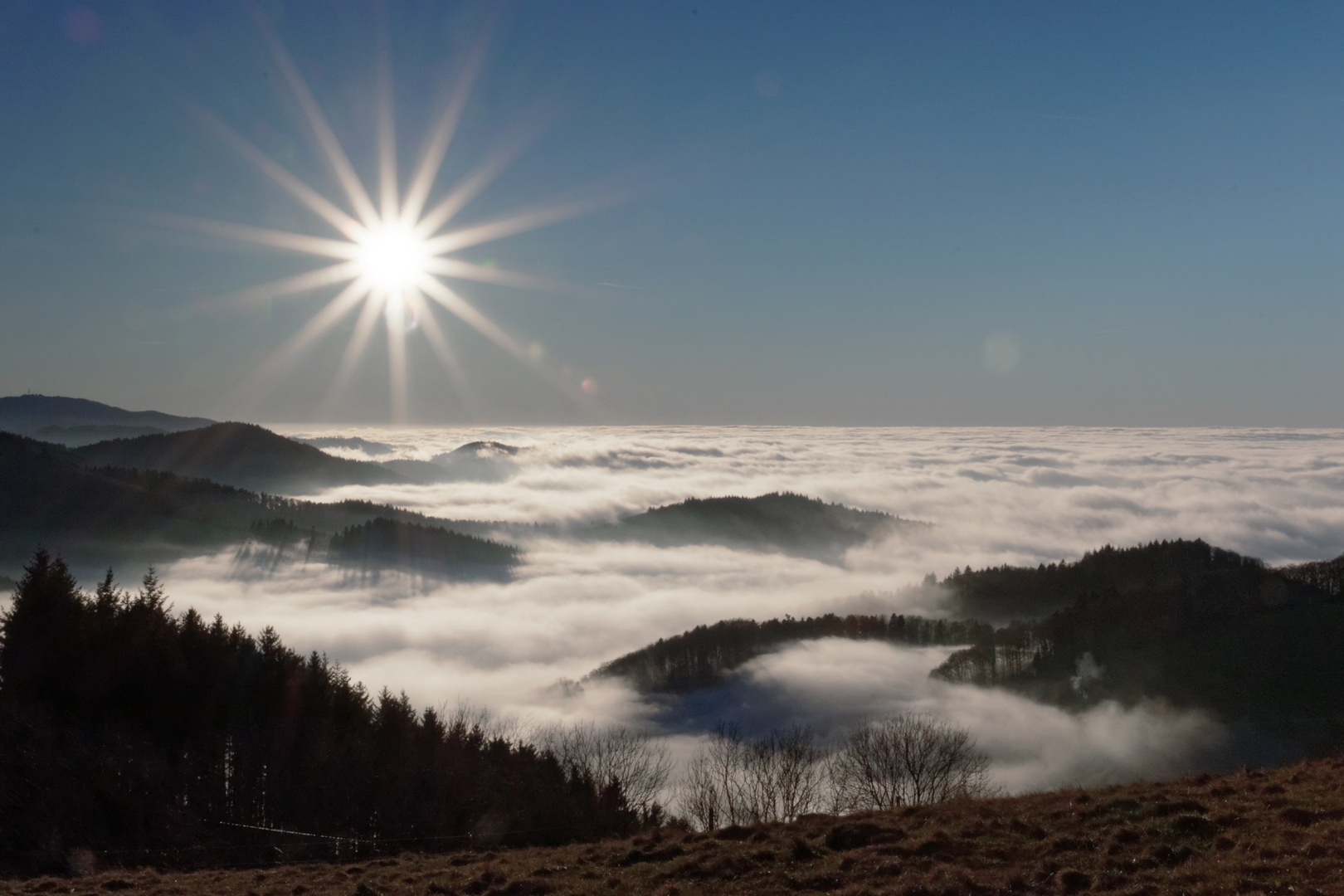 Über dem Nebelmeer 1