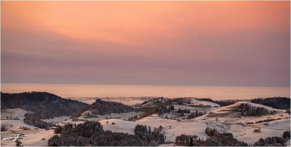 Über dem Nebelmeer