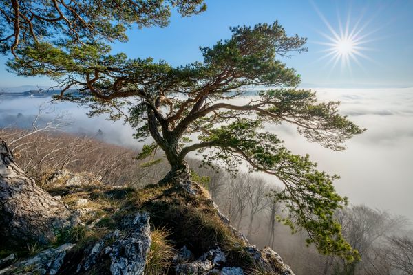Über dem Nebelmeer...