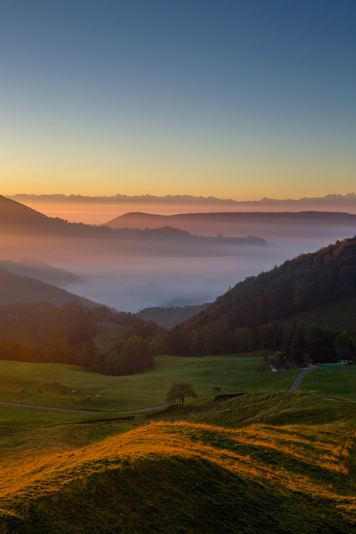 über dem Nebelmeer...