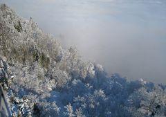 Über dem Nebelmeer...