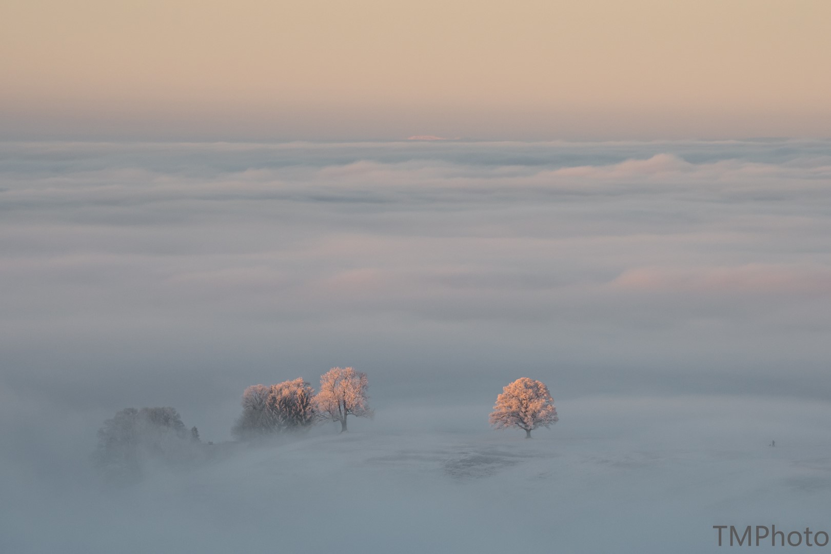 Über dem Nebelmeer