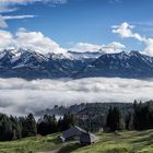 Über dem Nebelmeer