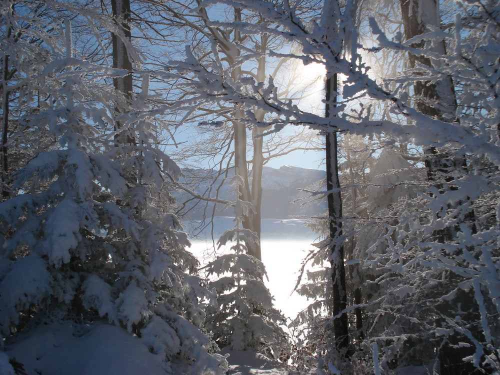 Ueber dem Nebelmeer